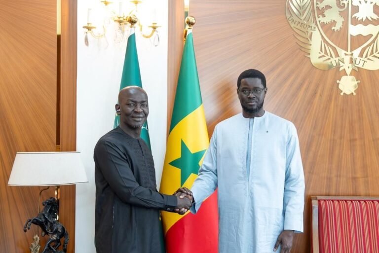 Le Président Diomaye Faye reçoit M. Diabel Seck : un échange stratégique autour du développement durable